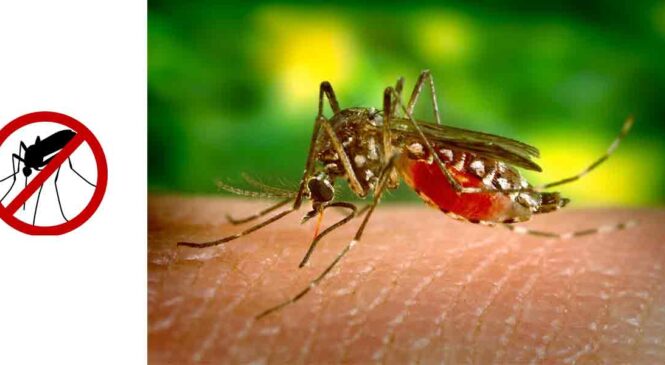 देश में जीका वायरस के केस बढ़ें, सावधानी जरूरी – Zika Virus